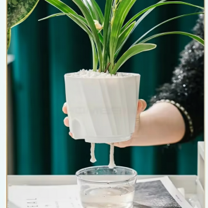 Lazy Self-Watering Hydroponic Pot